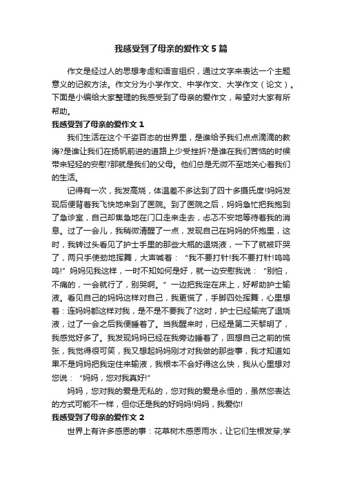 我感受到了母亲的爱作文5篇