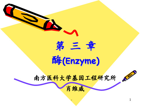 第03章.酶-2009级临床医学本科PPT课件