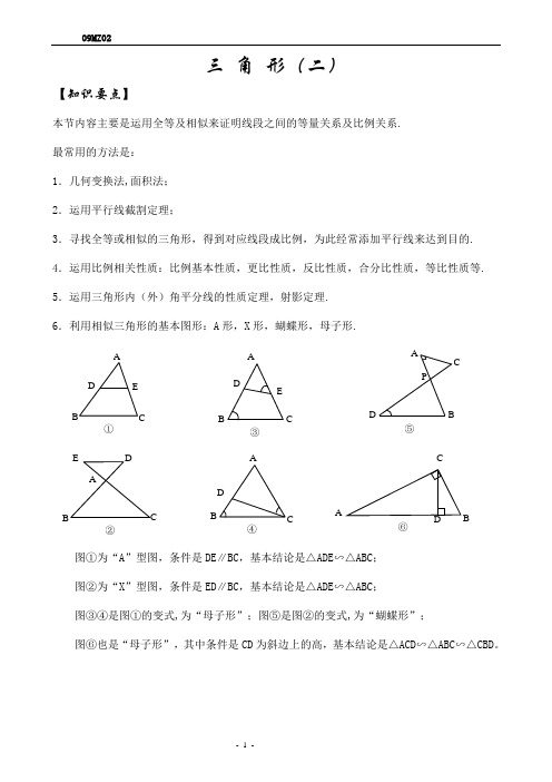 九年级数学秋季培优班第2讲     三角形2