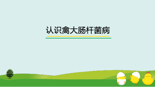 认识禽大肠杆菌病课件(共14张PPT)《禽病防治》