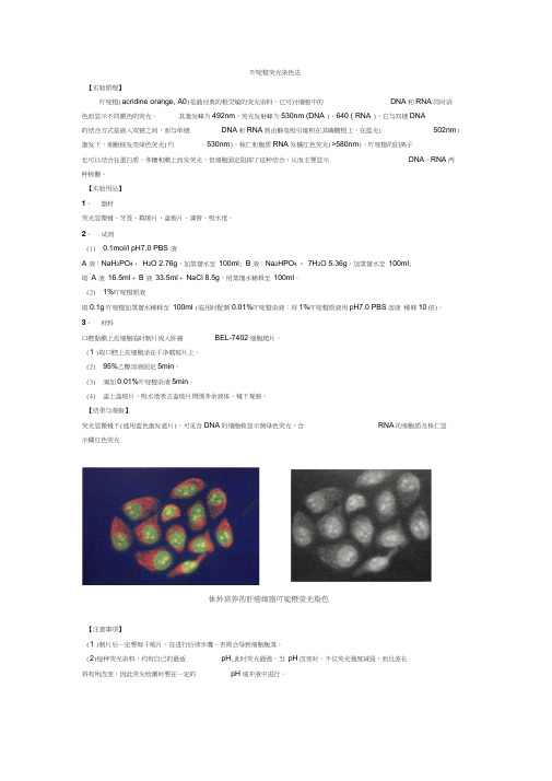 吖啶橙荧光染色法