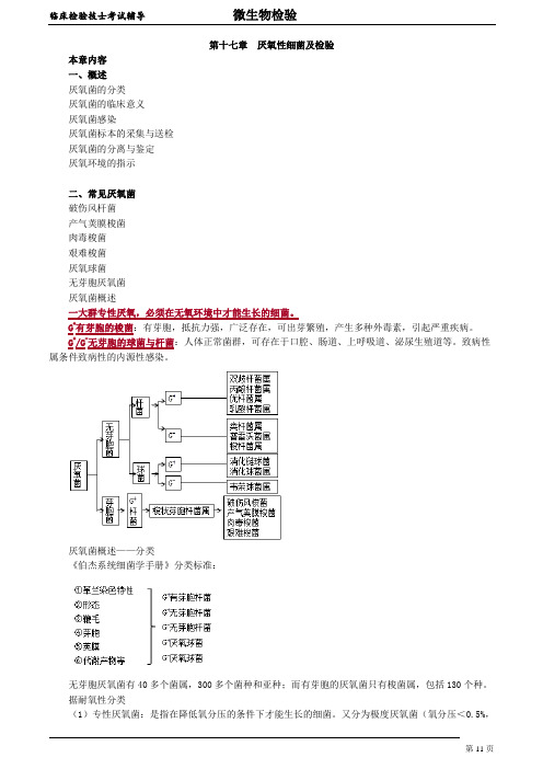 临床检验技士-微生物检验 讲义 17