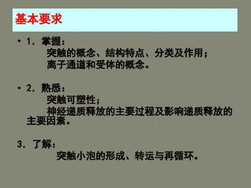 第三章 突触和突触传递