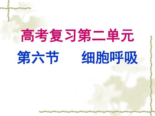 浙江省2019年高考生物一轮专题复习精品课件：细胞呼吸  (共59张PPT)