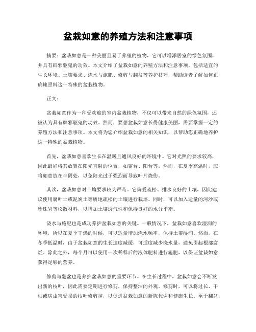 盆栽如意的养殖方法和注意事项