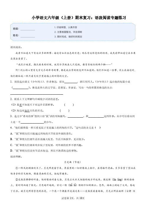 小学语文六年级(上册)期末复习：语段阅读专题练习