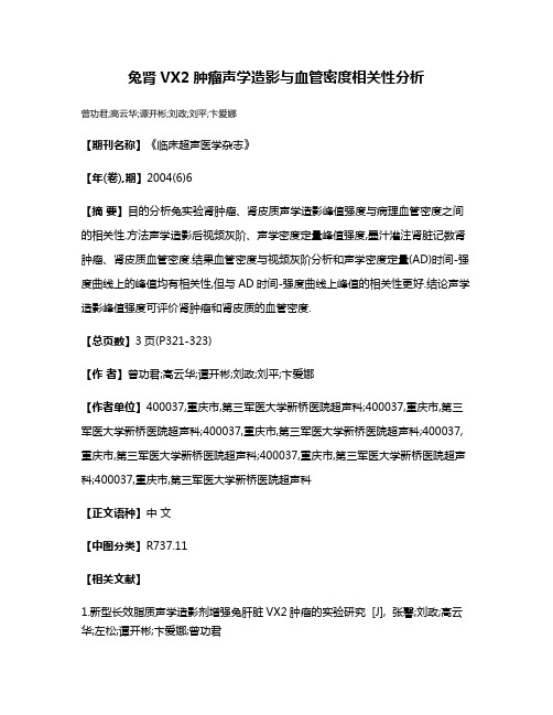 兔肾VX2肿瘤声学造影与血管密度相关性分析