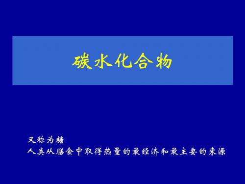 1.4碳水化合物 PPT课件