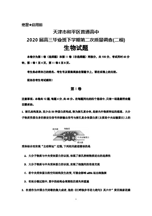 天津市和平区普通高中2020届高三下学期第二次质量调查(二模)生物试题及答案