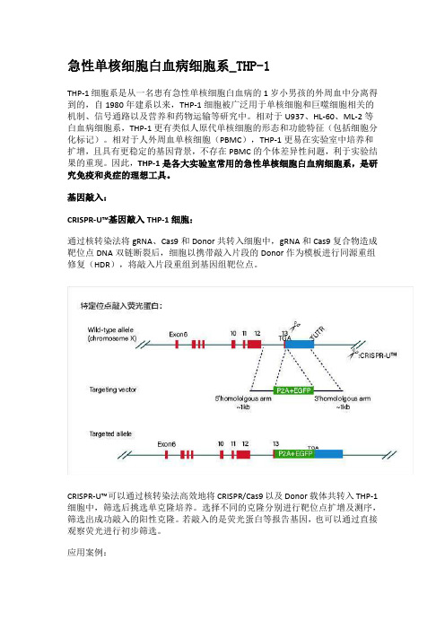 急性单核细胞白血病细胞系_THP-1