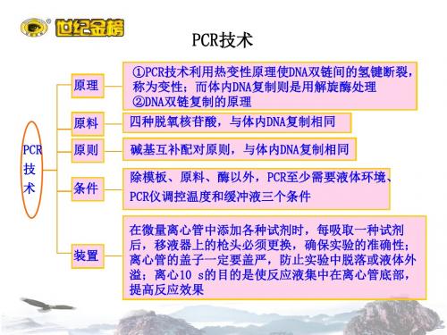 2019版世纪金榜高三二轮专题生物复习课件PCR技术