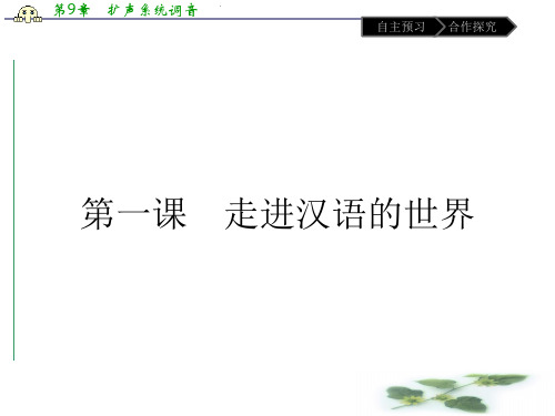 语文高中人教选修《语言文字应用》课件：第一课 第一节 美丽而奇妙的语言——认识汉语