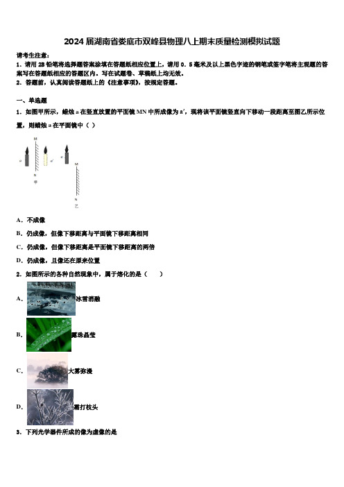 2024届湖南省娄底市双峰县物理八上期末质量检测模拟试题含解析