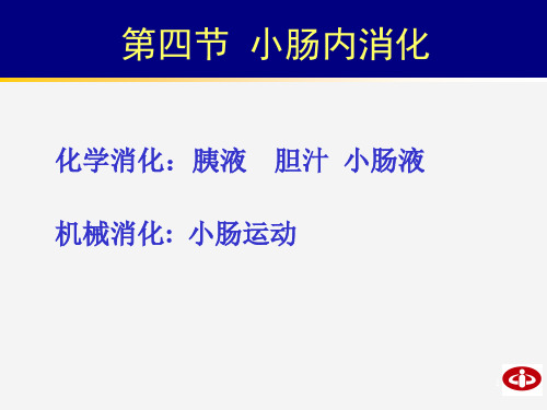 生理学第六章小肠内消化和吸收课件