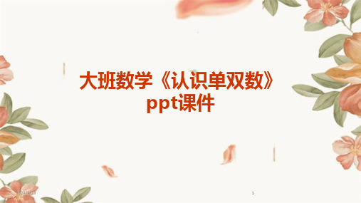 2024年度大班数学《认识单双数》ppt课件