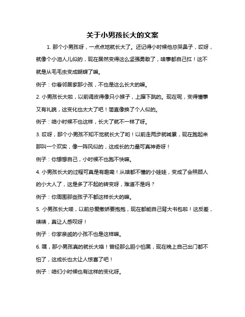 关于小男孩长大的文案