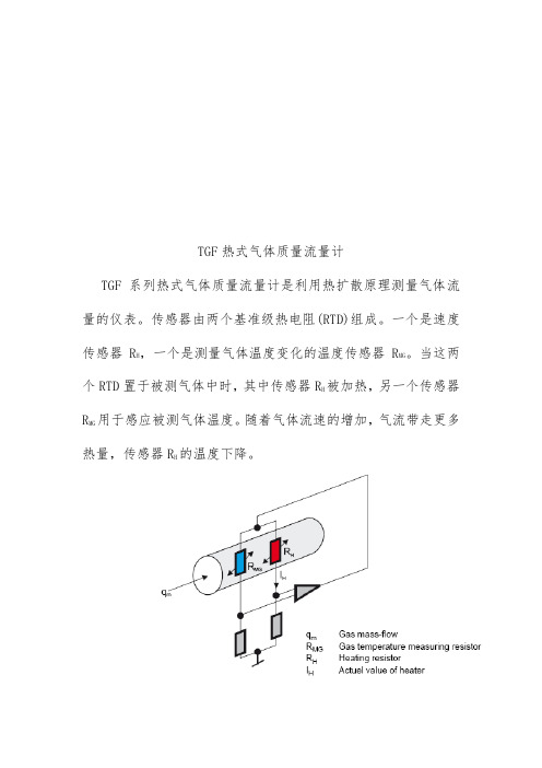 TGF热式气体质量流量计概述