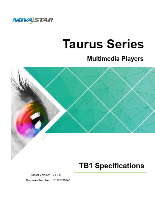 诺瓦科技LED显示屏联网播放器TB1规格书英文版
