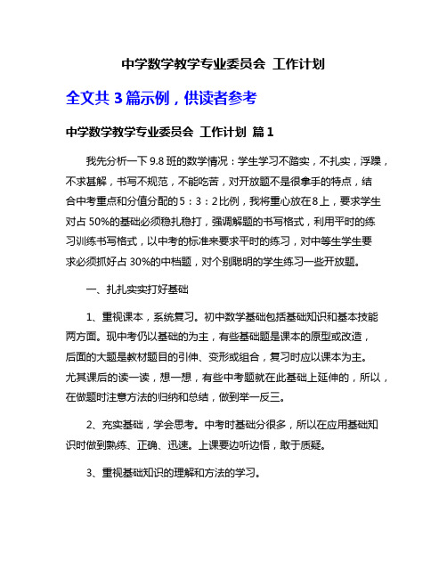 中学数学教学专业委员会 工作计划