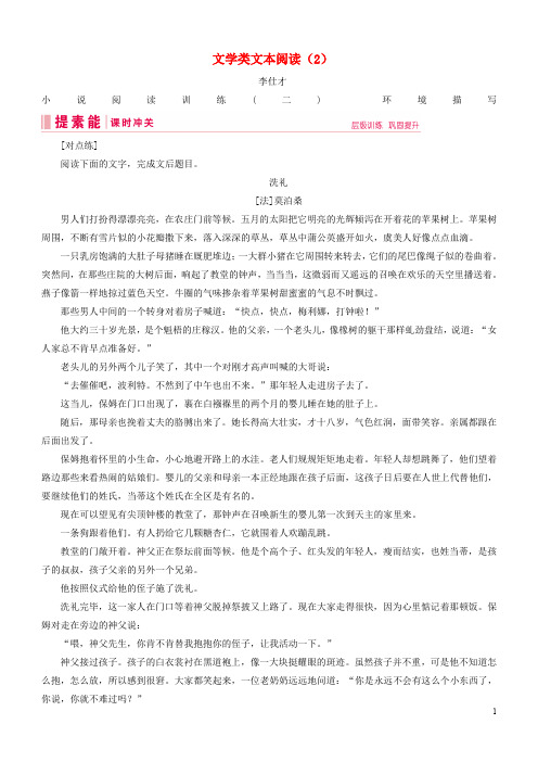 2019-2020年高考语文总复习 第二部分 现代文阅读 专题二 文学类文本阅读(2)(含解析)新人教版