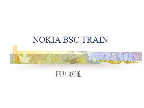 NOKIA_BSC_命令