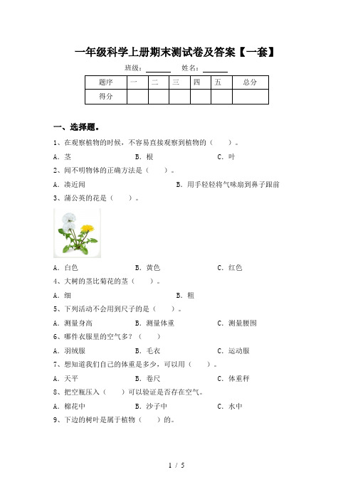 一年级科学上册期末测试卷及答案【一套】