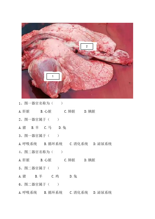 畜禽生理解剖 器官识别试题