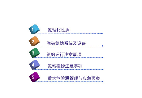 氨气液氨使用安全管理培训最新PPT109页课件