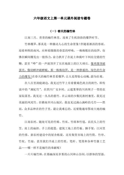 六年级语文上第一单元课外阅读专题卷  含答案 人教统编版