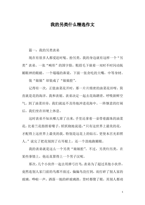 我的另类什么精选作文