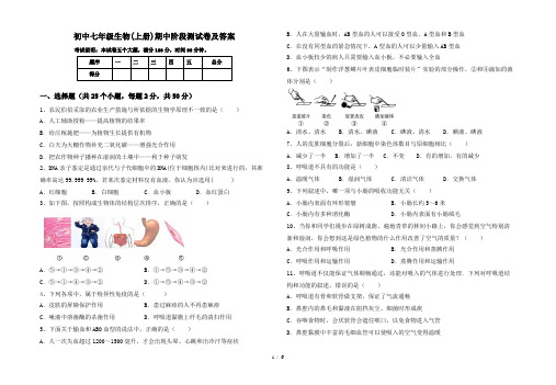 初中七年级生物(上册)期中阶段测试卷及答案