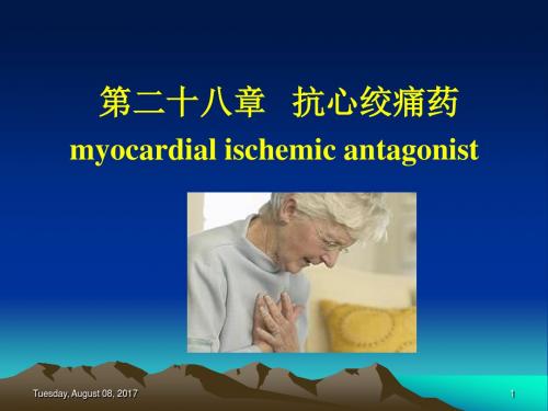 第二十八章 抗心绞痛药