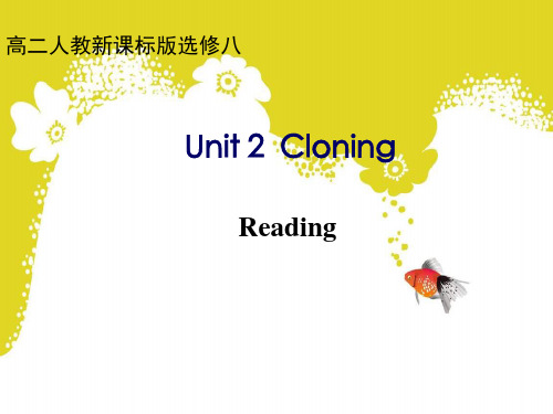 人教课标版高二英语下册选修8Unit2reading(共28张PPT)