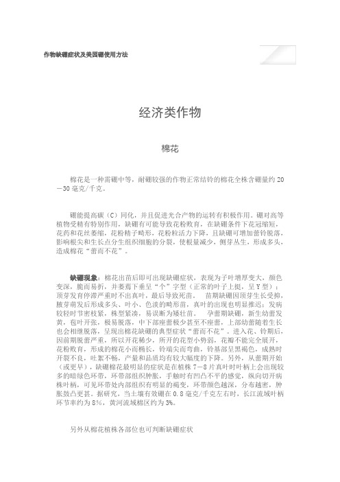 作物缺硼症状