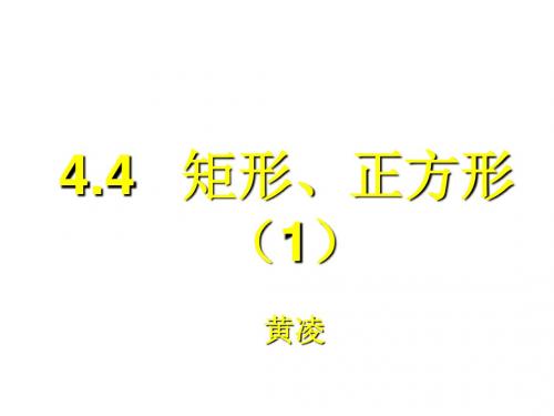 八年级数学矩形、正方形2(新编2019)