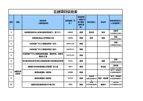 项目台账(改) (2)