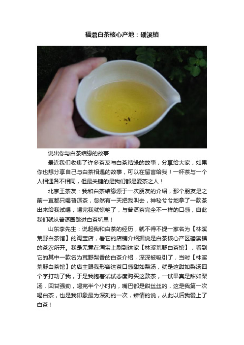 福鼎白茶核心产地：磻溪镇