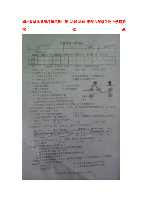 湖北省咸丰县2015-2016学年八年级生物上册期末试卷1
