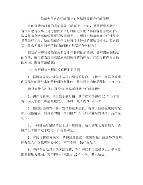 母猪为什么产仔时间长如何缩短母猪产仔时间程