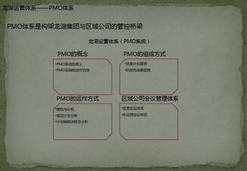 龙湖PMO运营体系研究--卓达项目专题研究