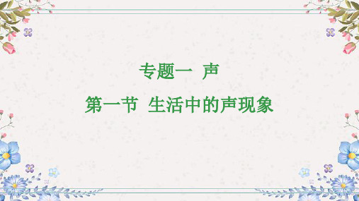 2024年中考物理总复习课件：专题一 声第一节 生活中的声现象