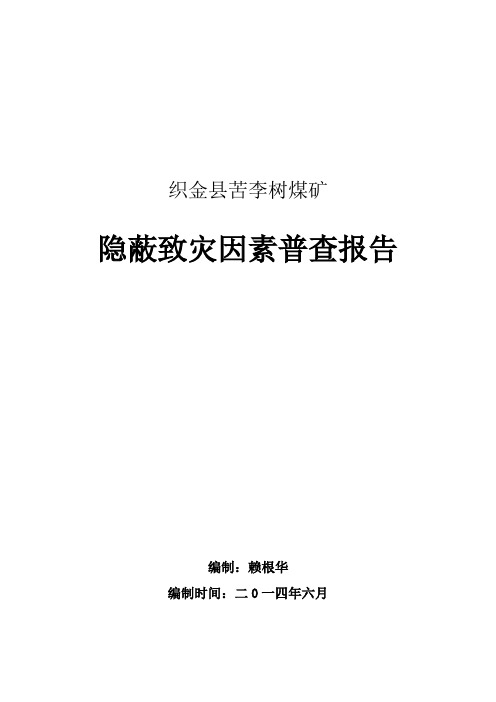 苦李树煤矿隐蔽致灾报告