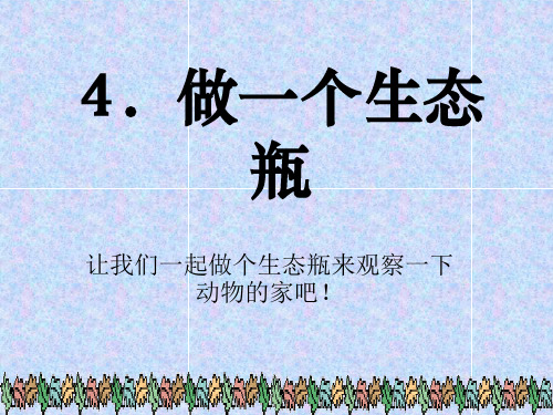 《做一个生态瓶》生物与环境5-教科版五年级科学上册PPT课件