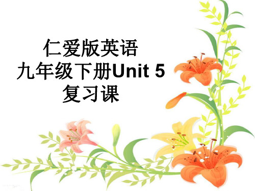 仁爱版九年级英语下册Unit 5复习课课件