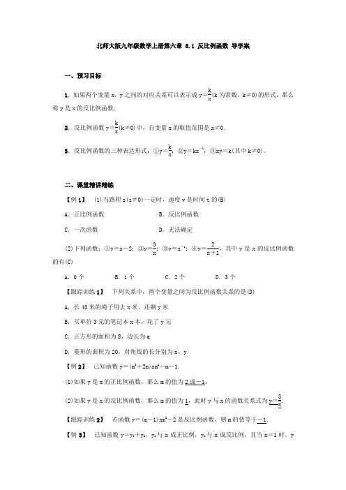 北师大版九年级数学上册 第六章 6.1 反比例函数 讲义(含答案)