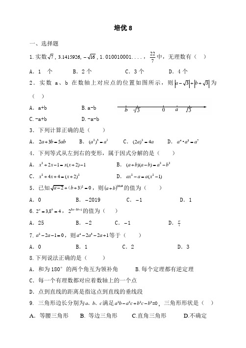 华师大版8年级上册培优8