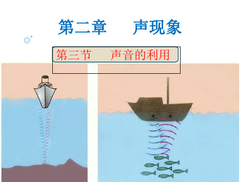 人教物理八年级上册第二章第3节声音的利用共22张PPT