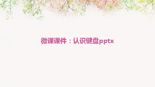 微课课件：认识键盘pptx