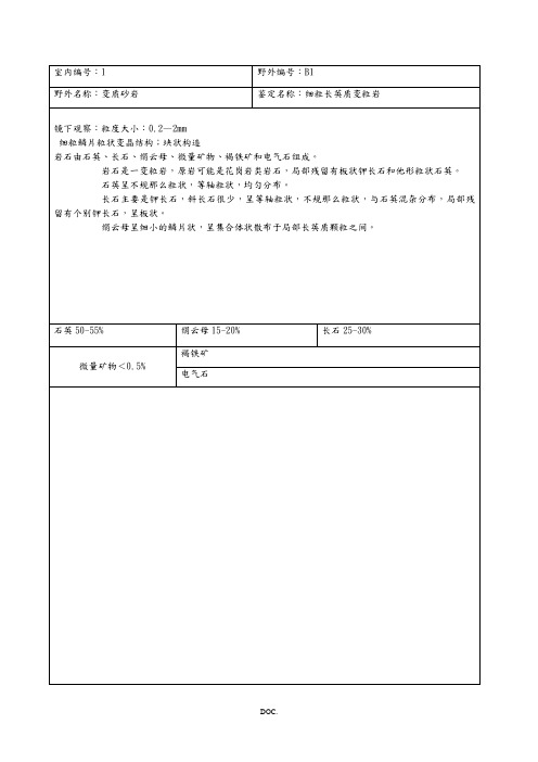 XXXX岩矿鉴定报告