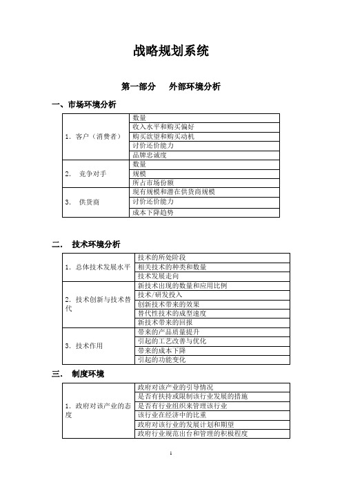 战略规划模板(含说明)